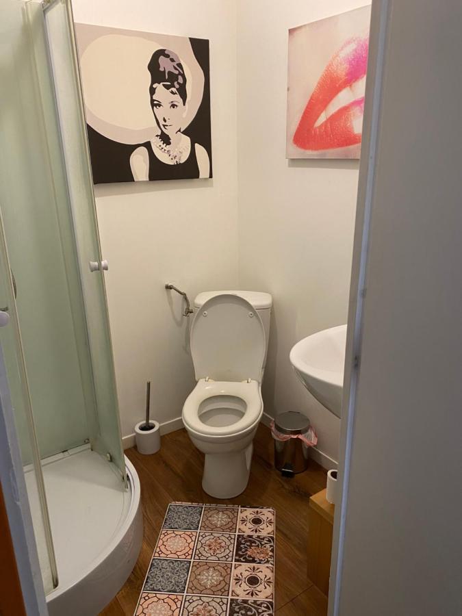 Petit Studio Fonctionnel Independant Saint-Brieuc Ngoại thất bức ảnh